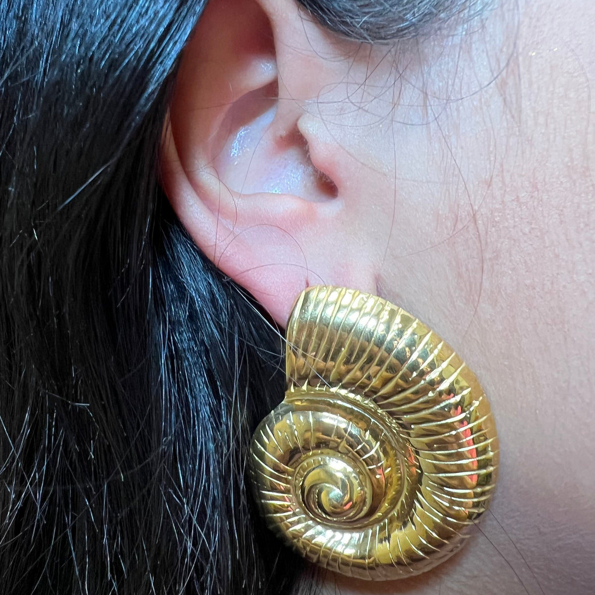 Round Snail Shell Stud Earrings