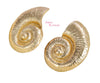 Wow Shell Stud Earrings